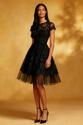 Lace A-Line Little Black Dress with Short Sleeves