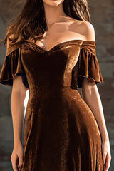 Brown A-Line Velvet Off The Shoulder Maxi Formal Dress